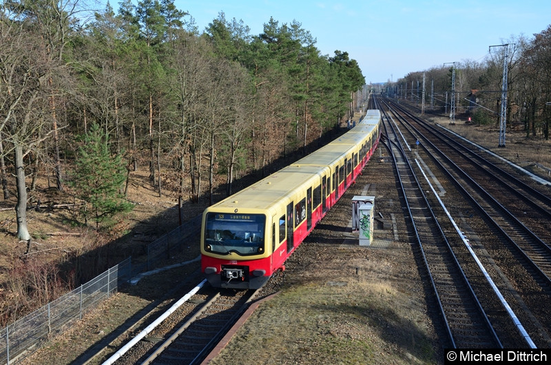 Bild: 481/482 003 + 481/482 103 + 481/482 392 + 481/482 021 als Linie S3 bei der Einfahrt in Wuhlheide.