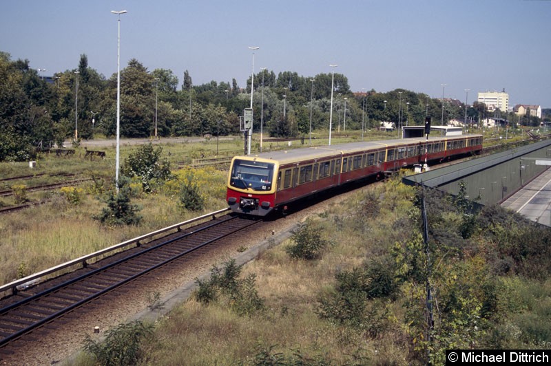 Bild: 481 042 kurz hinter dem Bahnhof Tegel.