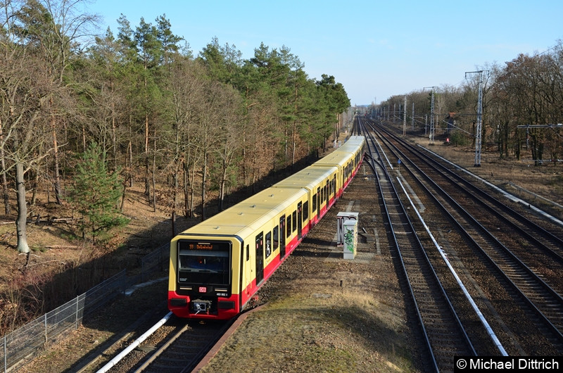 Bild: 483 002 + 484 002 als Linie S3 bei der Einfahrt in Wuhlheide.