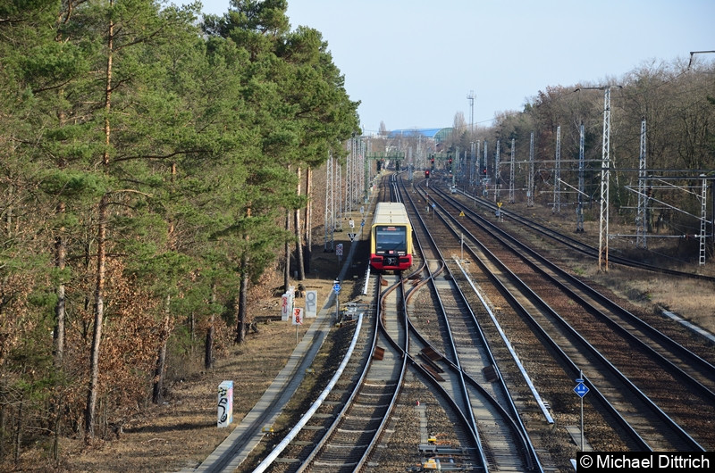 Bild: 483 003 + 484 002 als Linie S3 zwischen Köpenick und Wiuhlheide.