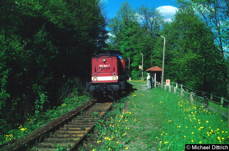 Bild: In Amtshainersdorf kam die 202 844 auf dem Weg nach Bad Schandau vorbei.
