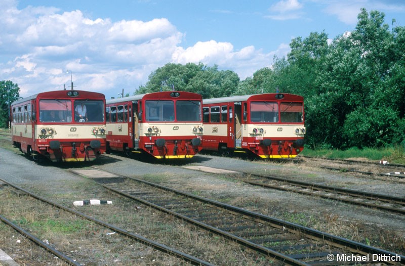 Bild: Treffen der Büchsen in Bor. 
Hier die Büchsen 810 042, 810 018 und 810 676.