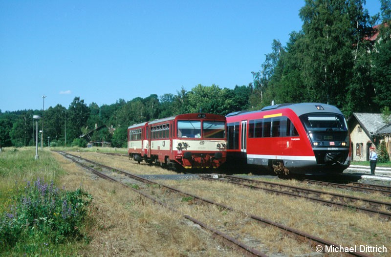 Bild: 810 324 neben dem Desiro 642 696.