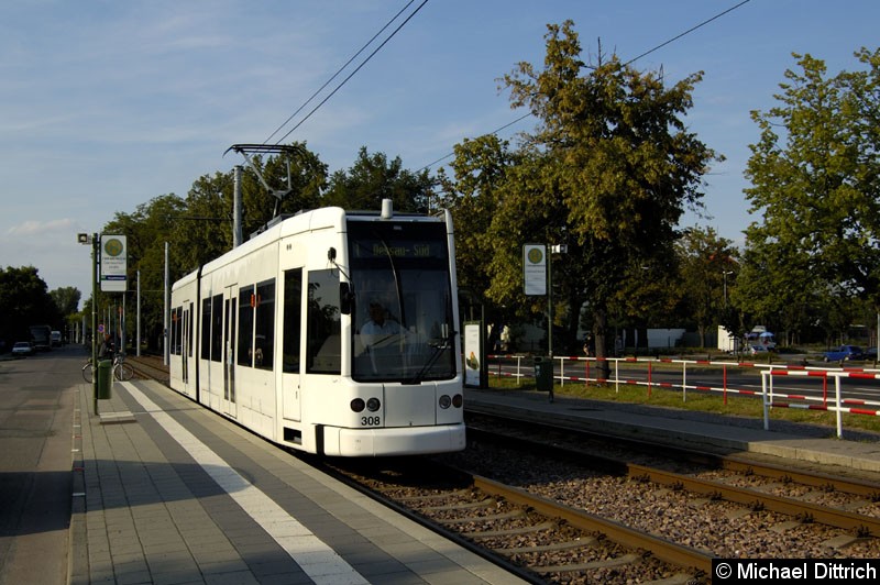 Bild: 308 als Linie 1 an der Haltestelle Dammaschke Str.