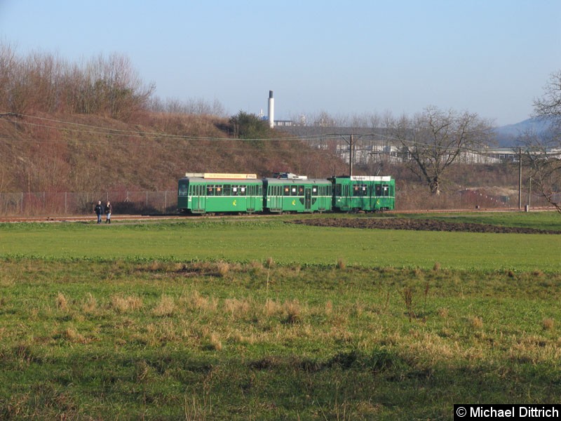 Bild: Blick über die Wiese in Lachmatt.