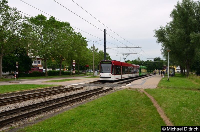 Bild: Combino 644 und 719 als Linie 2 an der Haltestelle Färberwaidweg.