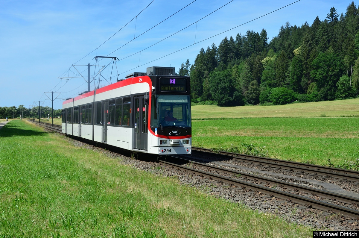 Bild: 254 als Linie 2 zwischen den Haltestellen Wonnhalde und Wiesenweg.