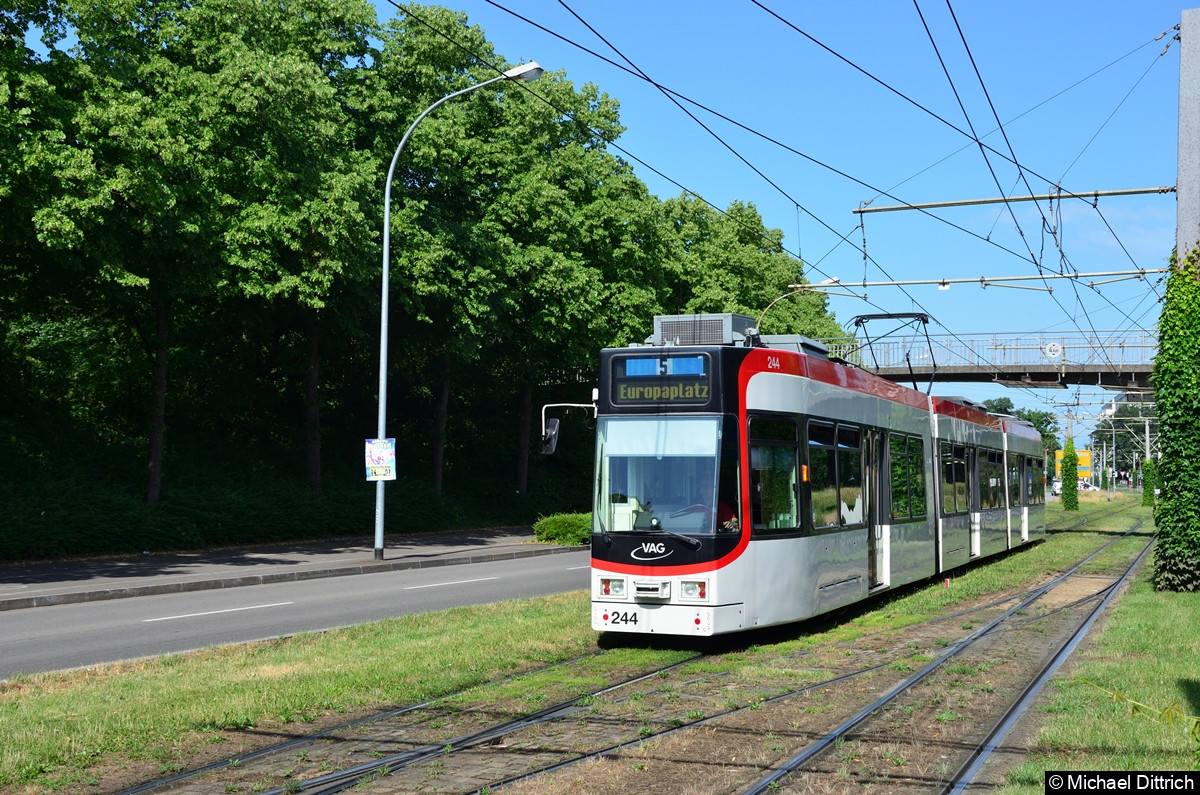 244 als Linie 5 kurz vor Erreichen der Haltestelle Am Lindenwäldle.