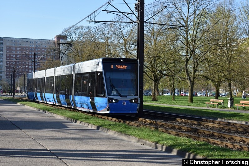 Bild: 603 als Linie 5 zwischen den Haltestellen Warnowallee und Turkuer Str.