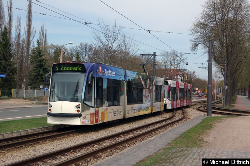 Bild: Combino 703 und 705 beim Erreichen der Haltestelle Thüringenhalle.