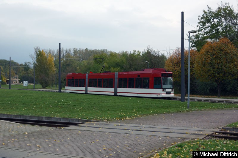 Bild: MGT6D/E 605 als Linie 5 an der Haltestelle Zoopark.