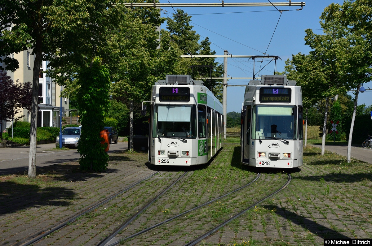 Bild: 255 und 248 als Linie 5 in der Endstelle Rieselfeld (Bollerstaudenstraße).