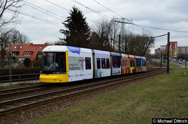 Bild: 8017 als Linie M6 kurz vor der Haltestelle Landsberger Allee/Rhinstr.