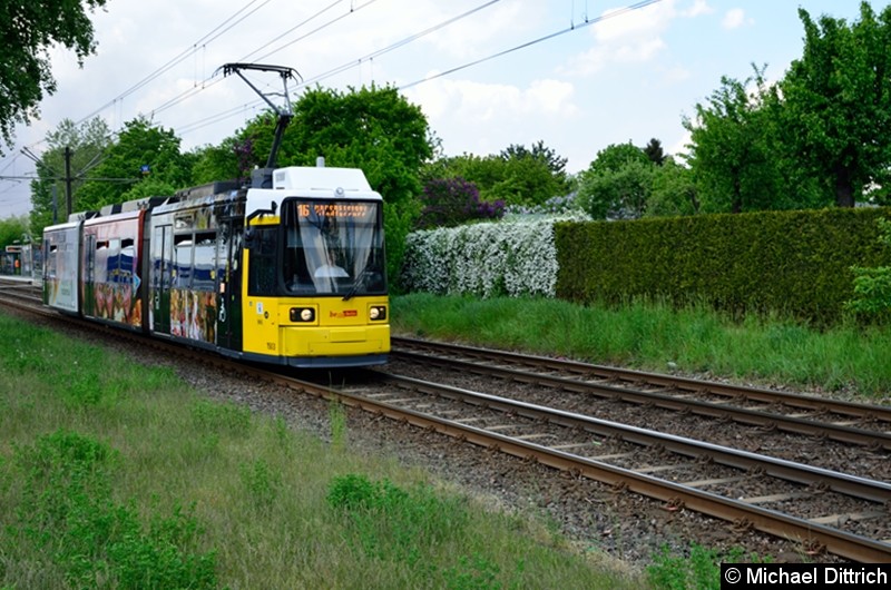 Bild: 1503 als Linie 16 kurz hinter der Haltestelle Landsberger Allee/Rhinstr.