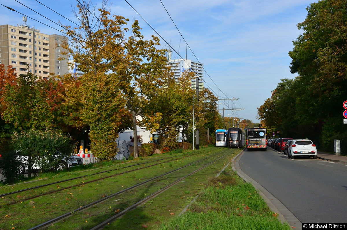 Bild: Der Wagen 225 begegenet dem Wagen 231 zwischen den Haltestelle Hindemiethstraße und ZDF. Daneben überholt ein Linienbus.
