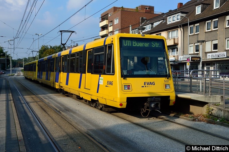 Bild: 5227 + 5234 als Linie U11 in der Haltestelle Buerer Straße in Gelsenkirchen.