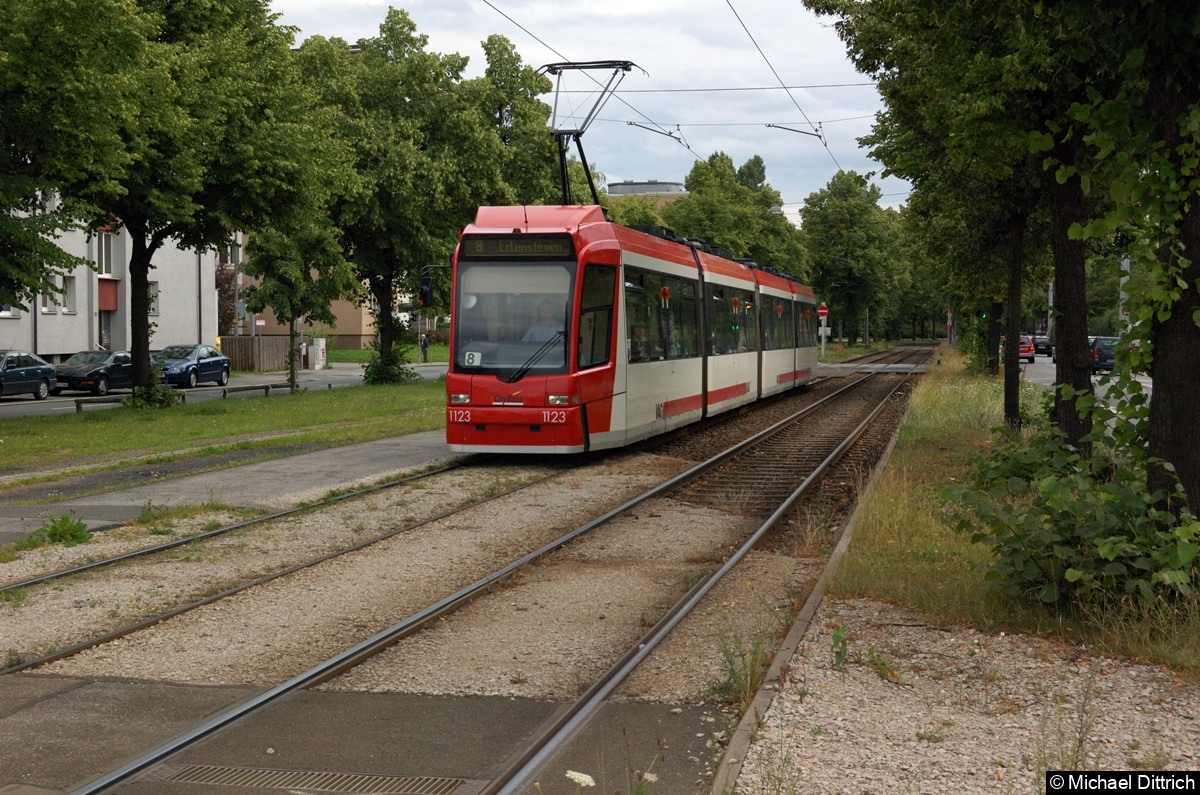 Bild: 1123 als Linie 8 in der Katzwanger Straße.