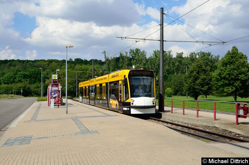 Bild: Combino 650 als Linie 5 an der Haltestelle Zoopark.