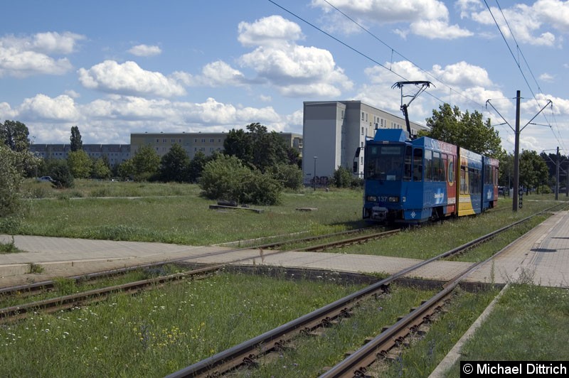 Bild: 137 auf dem Weg nach Neu Schmellwitz.