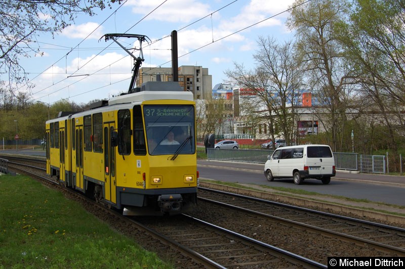 Bild: 6046 als Linie 37 vor der Haltestelle Allee der Kosmonauten/Rhinstraße.