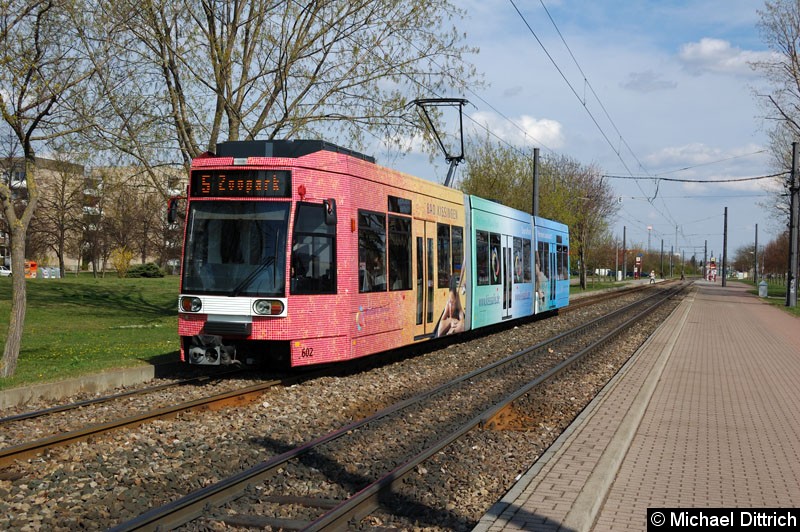 Bild: MGT6D 602 als Linie 5 zwischen den Haltestellen August-Frölich-Str. und Roter Berg.