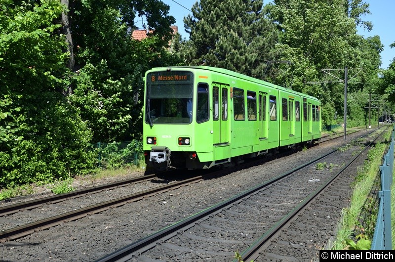 Bild: 6224 als Linie 8 zwischen den Haltestellen Am Mittelfelde und Messe/Nord.