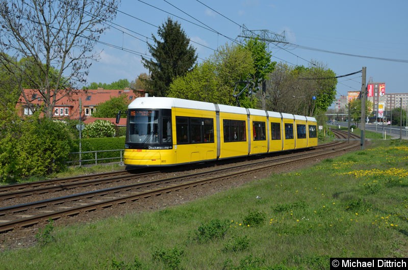 Bild: 8013 als Linie M6 kurz vor der Haltestelle Landsberger Allee/Rhinstr.