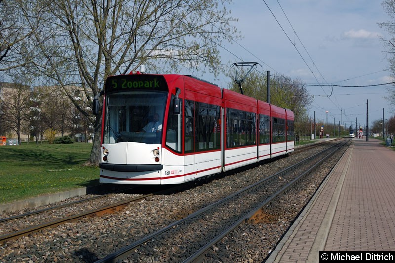 Bild: Combino 650 als Linie 5 zwischen den Haltestellen August-Frölich-Str. und Roter Berg.