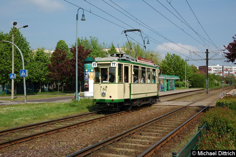 Bild: Wagen 124 als Linie 77 anlässlich 30 Jahre Strecke nach Olvenstedt: Hier kurz hinter der Haltestelle Sternbogen.
