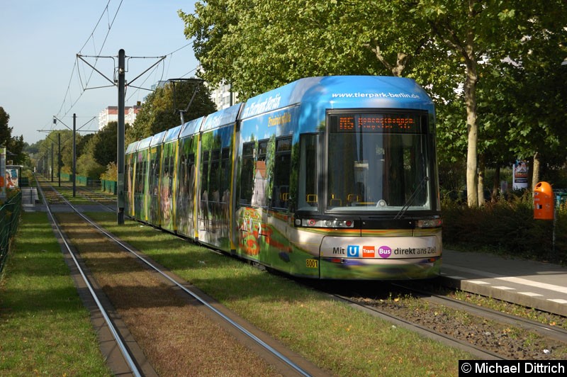 Bild: 8001 als Linie M5 zwischen den Haltestellen Prerower Platz und Ahrenshooper Str.
Damit ist der erste Flexity Berlin lang mit einer Vollwerbung versehen.