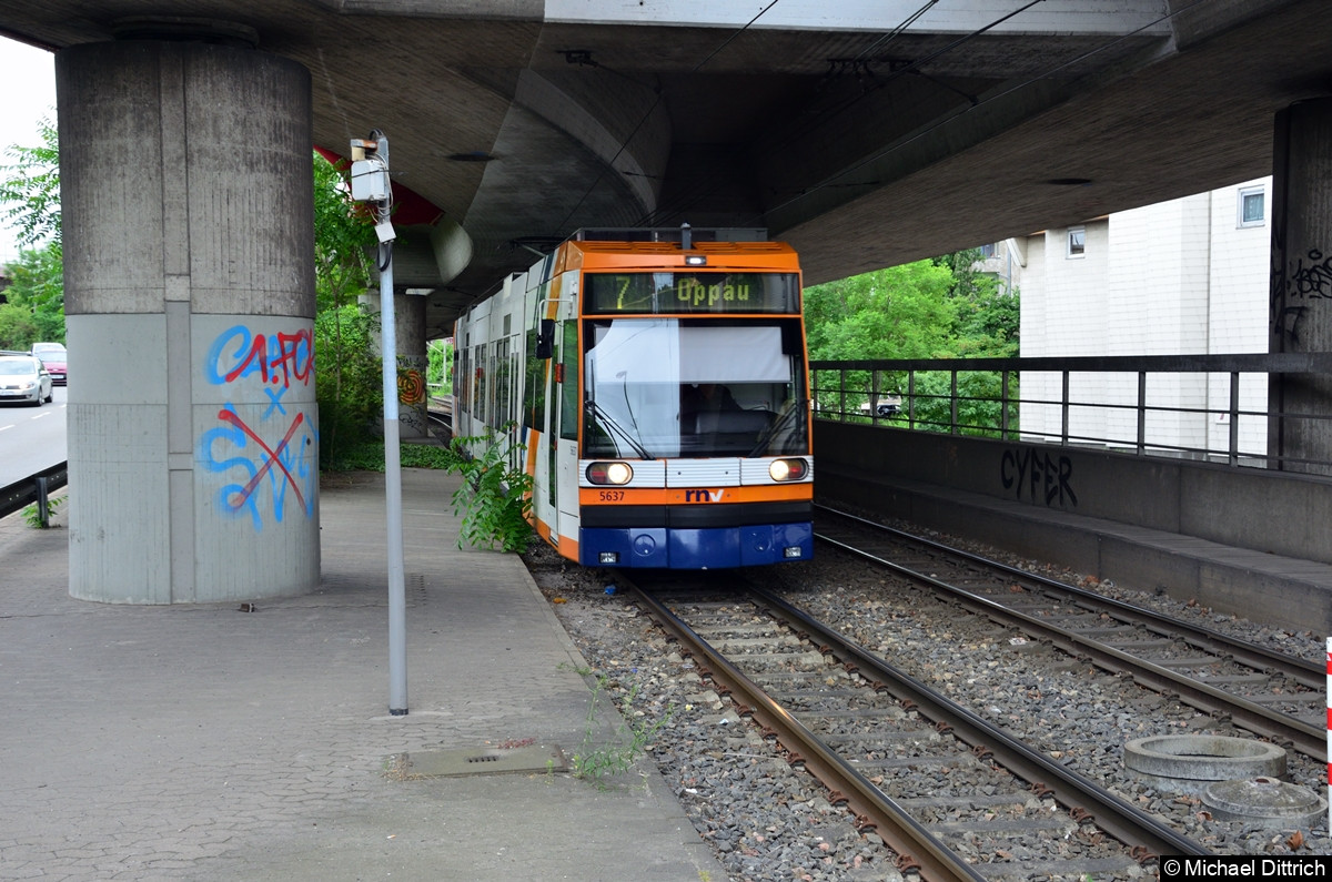 Bild: 5637 als Linie 7 kurz vor der Haltestelle Gartenstraße.