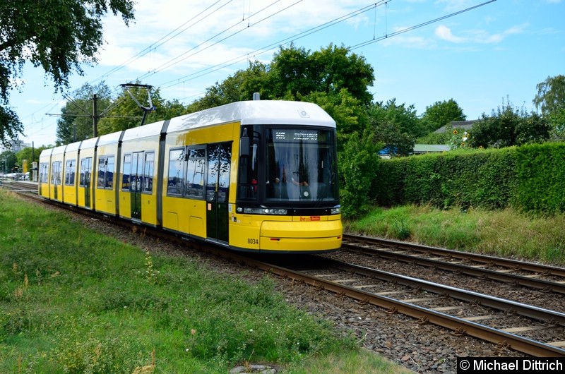 Bild: 8034 als Linie M6 kurz hinter der Haltestelle Landsberger Allee/Rhinstr.