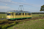 46