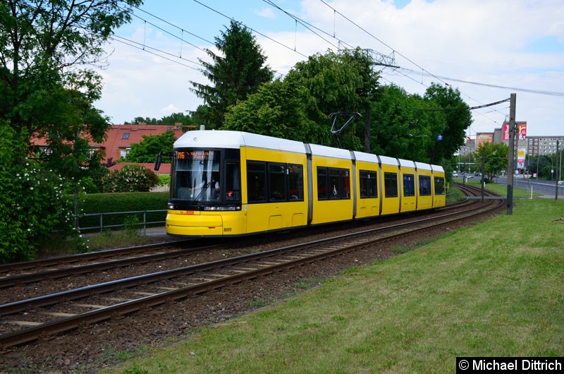 Bild: 8009 als Linie M6 kurz vor der Haltestelle Landsberger Allee/Rhinstr.