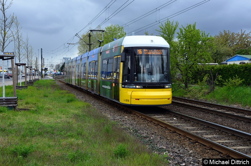 Bild: 8014 als Linie 16 zwischen den Haltestellen Landsberger Allee/Rhinstr. und Dingelstädter Str.