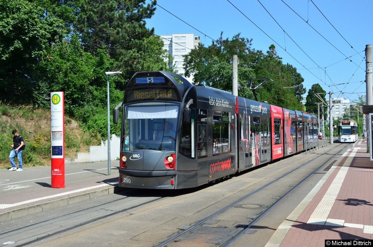 Bild: 290 als Linie 5 an der Haltestelle Am Lindenwäldle.