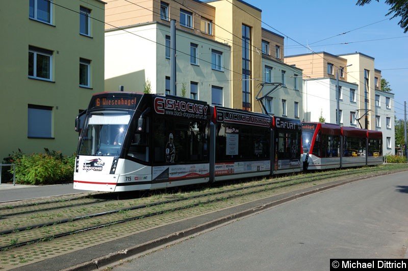 Bild: 715 und 716 als Linie 6 in der Melchendorfer Str. zwischen den Haltestellen Agentur für Arbeit und Am Schwemmbach.