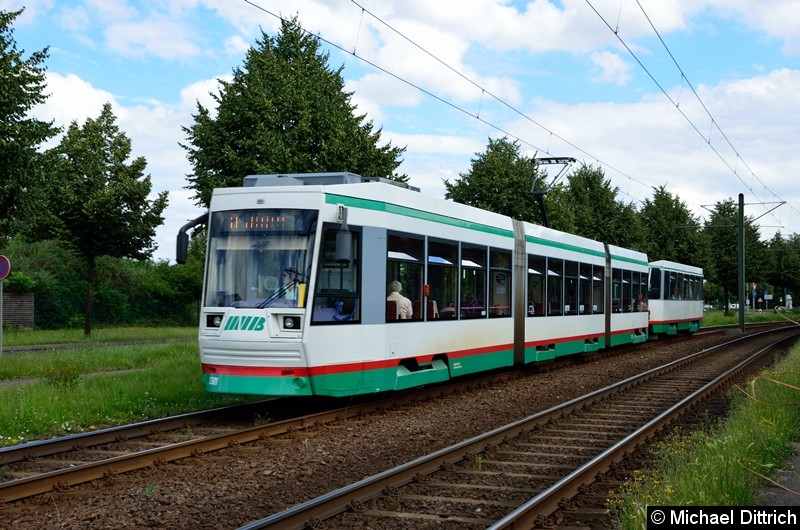 Bild: 1301 + 2204 als Linie 41 zwischen den Haltestellen Albert-Vater-Str. und Rennetal.
