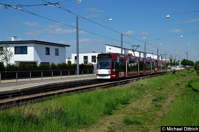 Bild: 649 und 701 als Linie 2 an der Haltestelle Ringelberg.