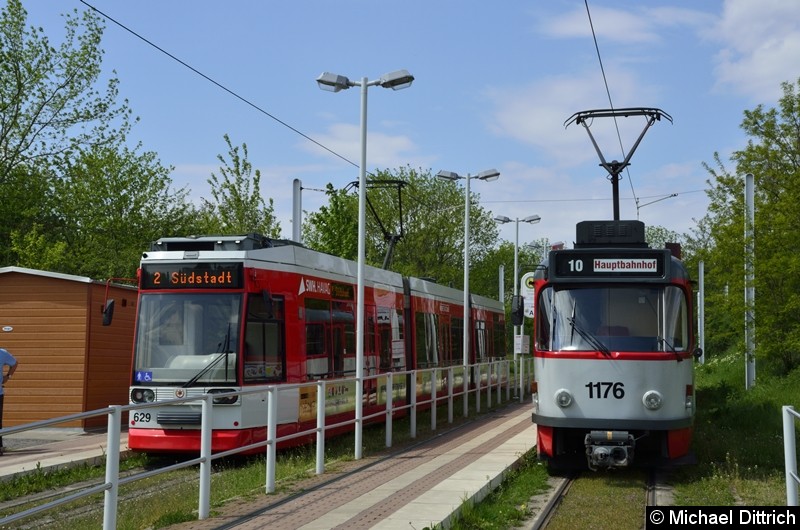 Bild: Sonderfahrt mit 1176 + 204: In der Abfahrtshaltestelle Soltauer Straße, daneben der 629 als Linie 2.