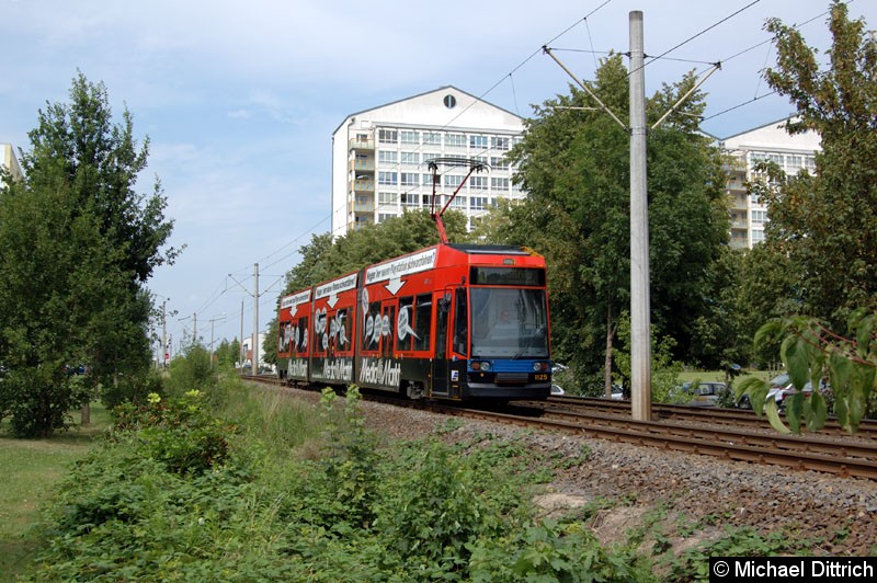 Bild: 1125 auf dem Weg nach Lößnig zwischen Moritz-Hof und Lößnig.