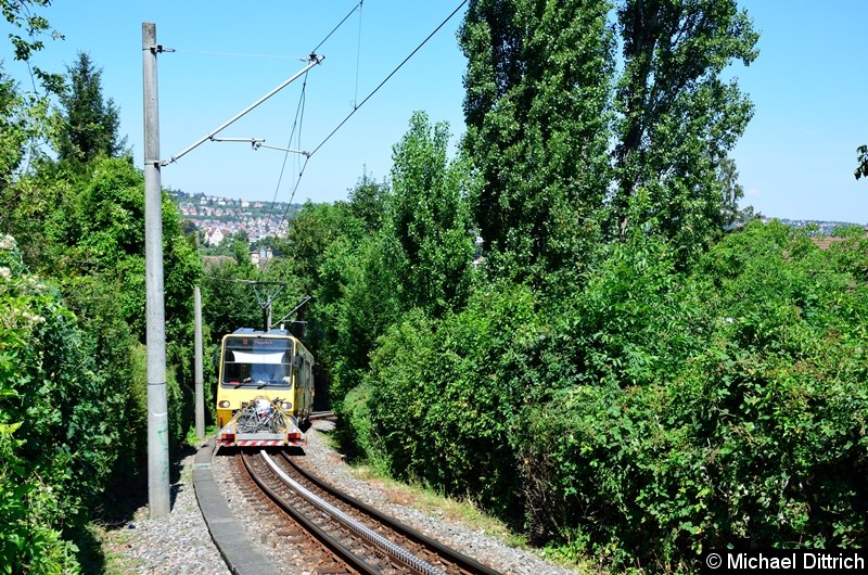 Bild: Zahnradbahn 1003 zwischen den Haltestellen Liststr. und Pfaffenweg.