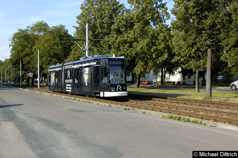 Bild: 304 als Linie 1 an der Haltestelle Dammaschke Str.