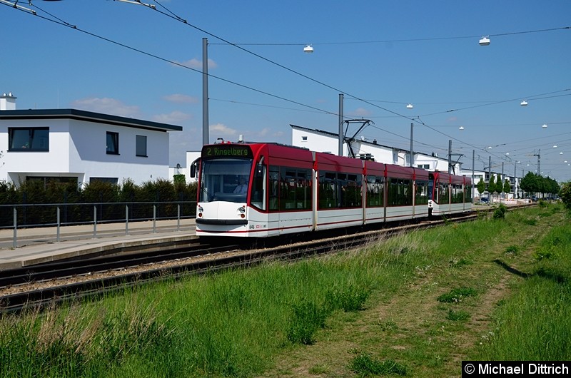 Bild: 646 und 703 als Linie 2 an der Haltestelle Ringelberg.