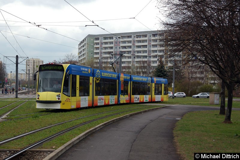 Bild: 647 zwischen den Haltestellen Berliner Str. und Riethstr.