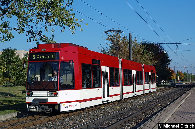 Bild: MGT6D 601 als Linie 5 zwischen den Haltestellen August-Frölich-Straße und Roter Berg.