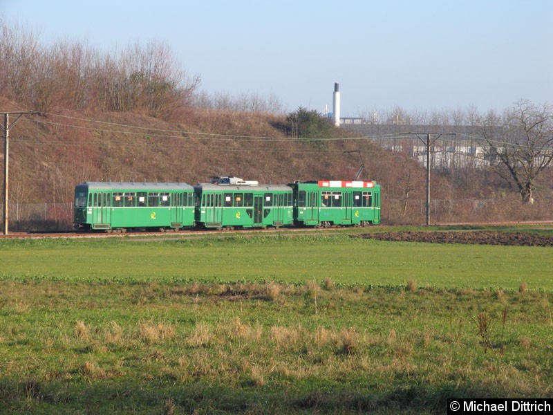 Bild: Blick über die Wiese in Lachmatt.