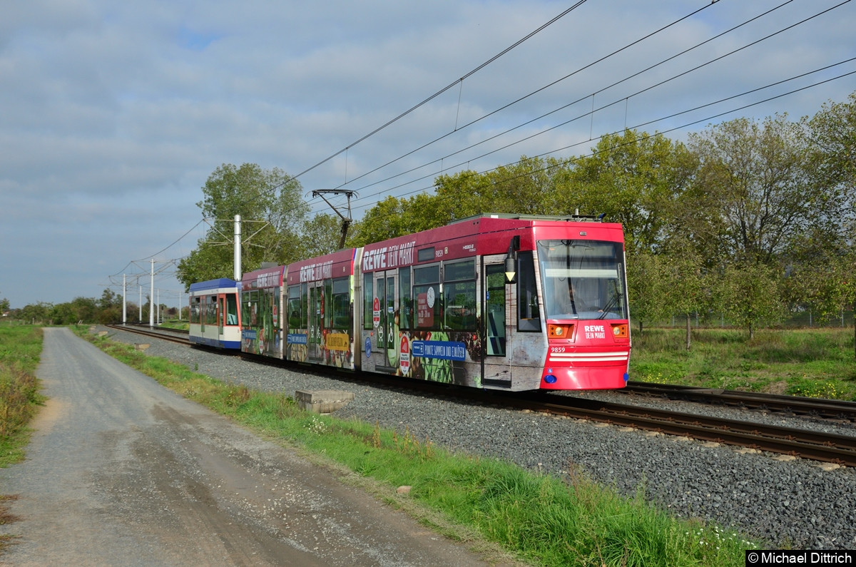 Bild: Wagen 9859 als Linie 6 kurz vor der Endstelle Alsbach, Am Hinkelstein.