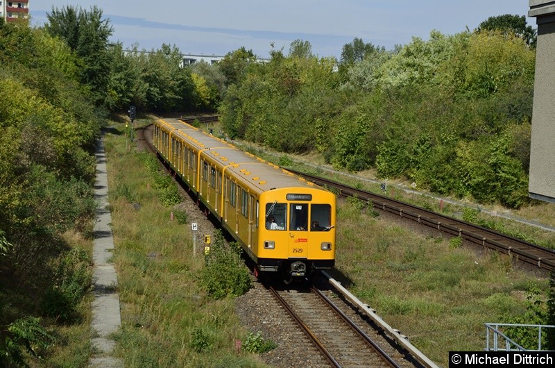 Bild: 2529 erreicht, mit zwei weiteren F-Zügen, gleich den Bahnhof Kienberg.