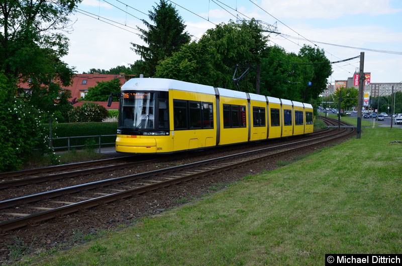 Bild: 8014 als Linie M6 kurz vor der Haltestelle Landsberger Allee/Rhinstr.
